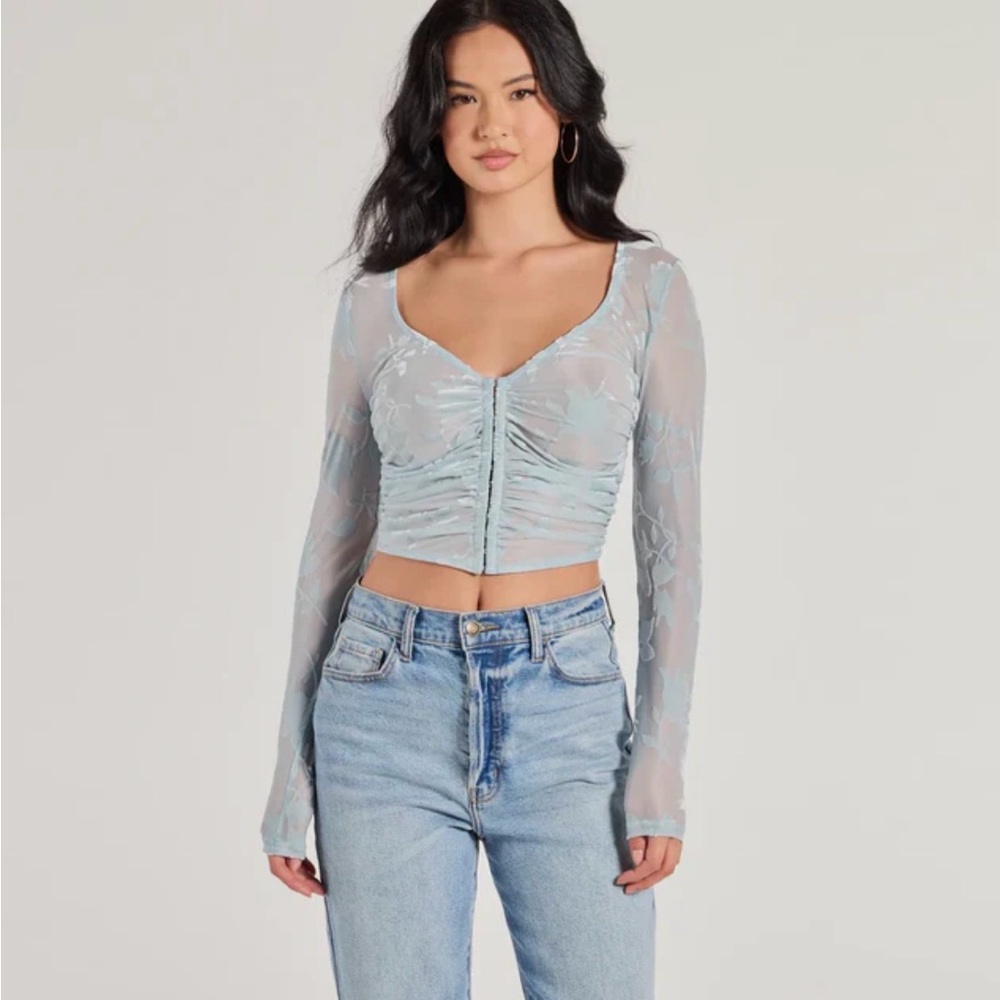 Windsor Flocked Floral Mesh Long Sleeve Corset Sky Blue Top NWOT